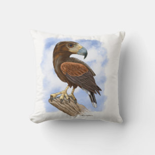Harris Hawk On The Lookout Cartoon Cushion
