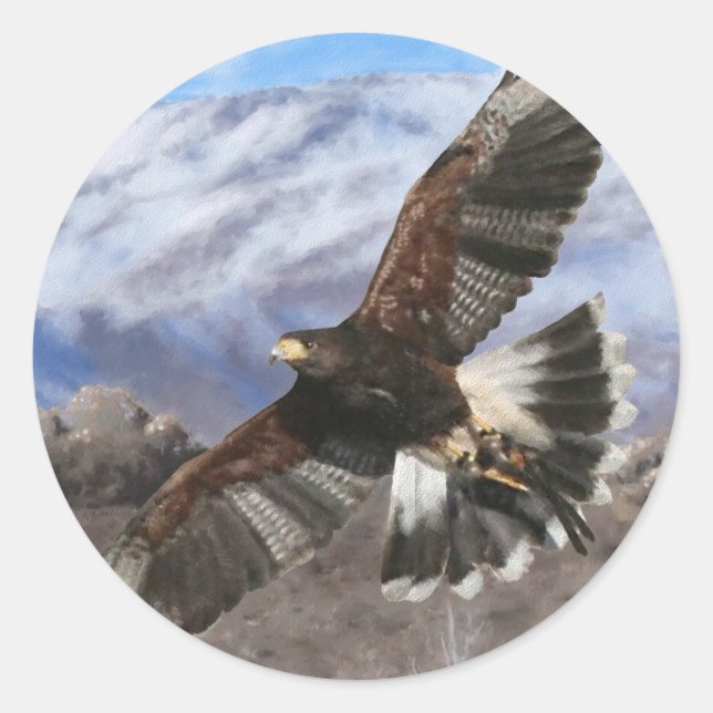 Harris Hawk- pastel Classic Round Sticker (Front)
