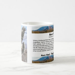 Harris Hawk- pastel Coffee Mug