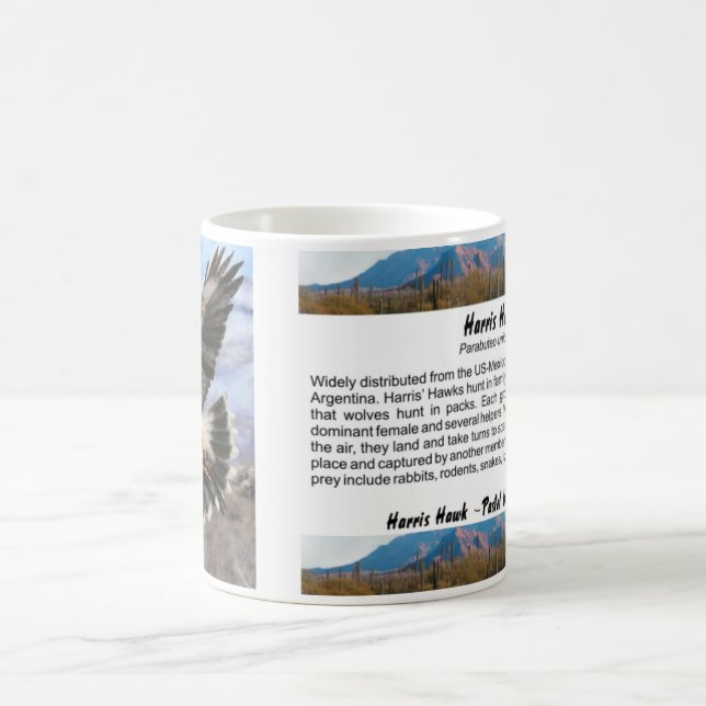 Harris Hawk- pastel Coffee Mug (Center)