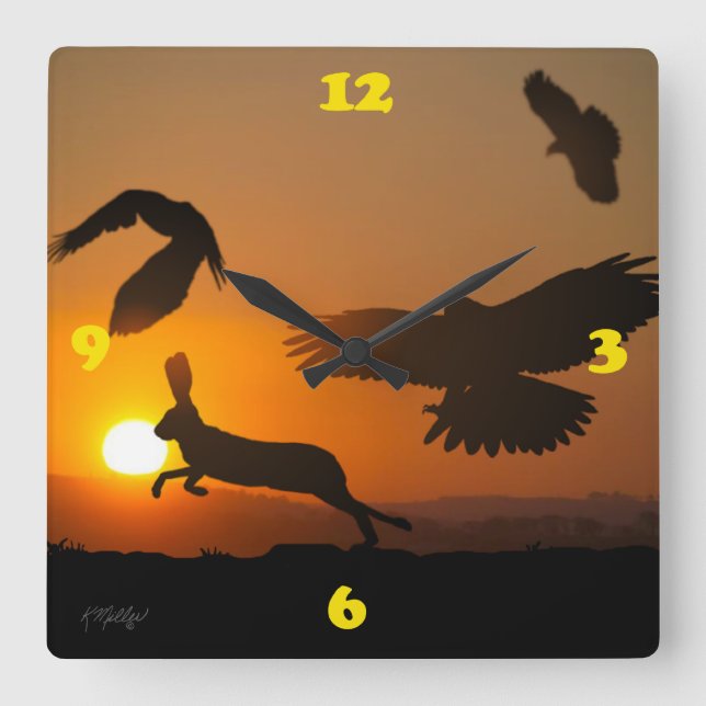 Harris Hawks Hunting Square Wall Clock (Front)
