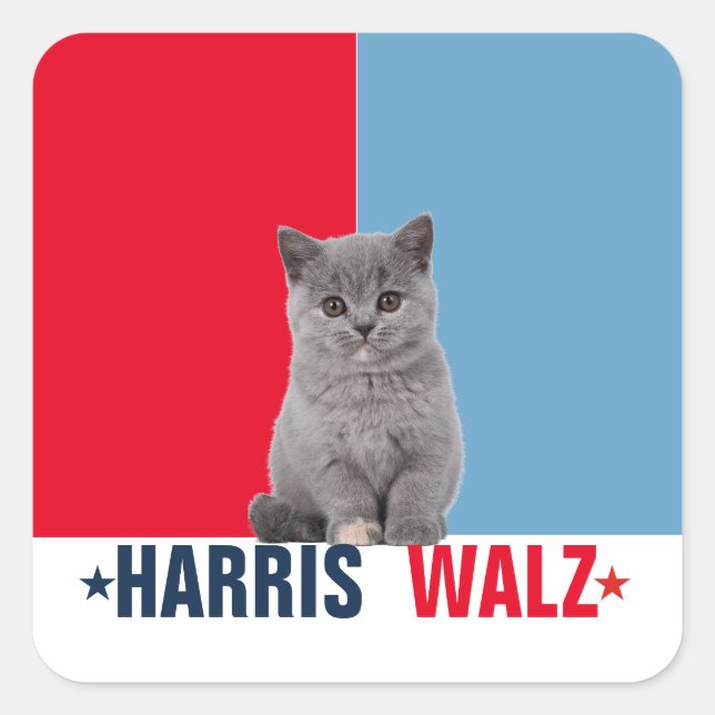 Harris Walz 2024 Obviously Red Blue Square Sticker (Front)