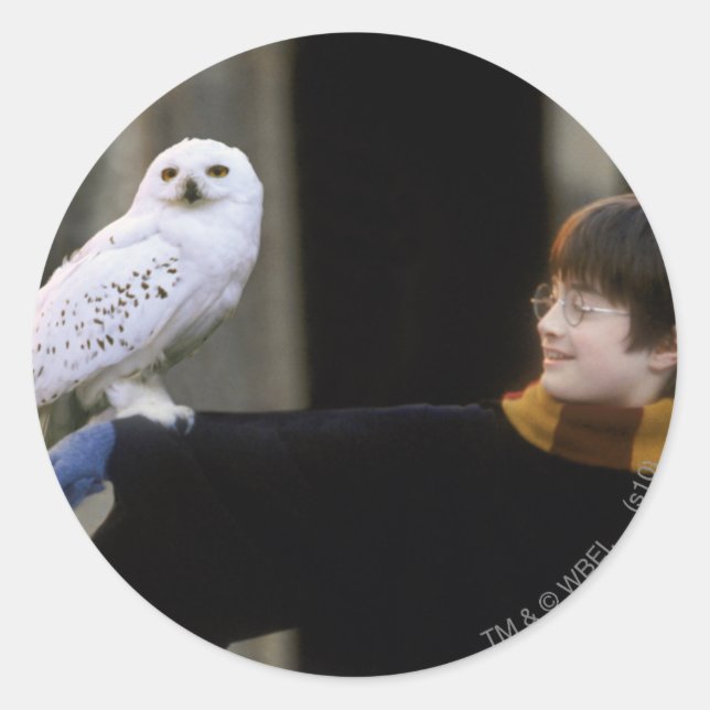 Harry and Hedwig 3 Classic Round Sticker (Front)