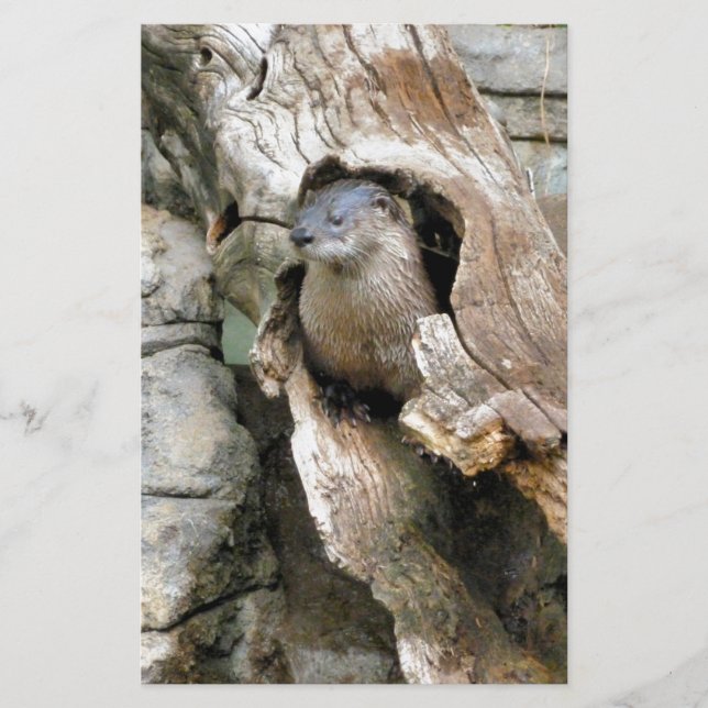 Harry Otter Stationery (Front)