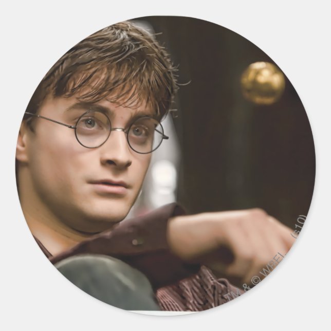 Harry Potter 17 Classic Round Sticker (Front)