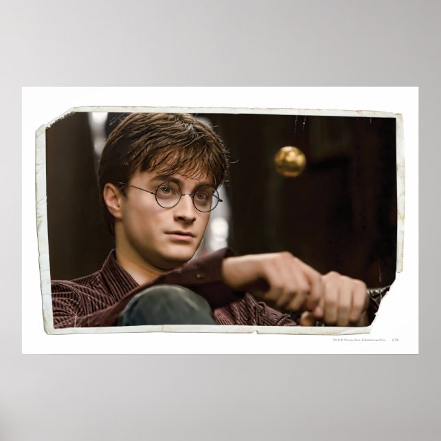 Harry Potter 17 Poster (Front)