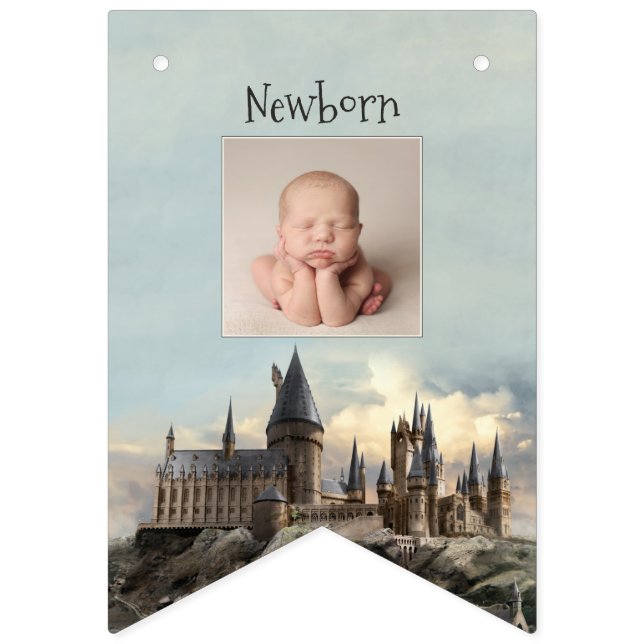 Harry Potter 1st Birthday 12 Month Photo Bunting F (Second Flag)