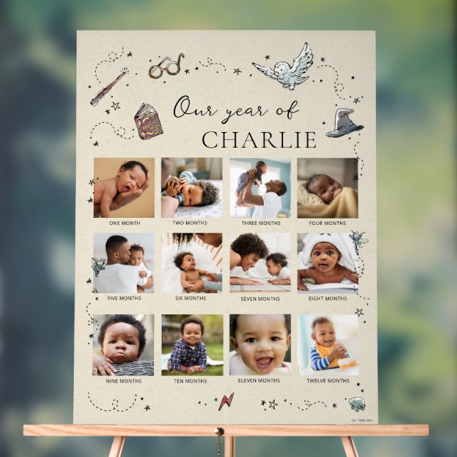 Harry Potter 1st Birthday - 12 Month Photo Collage Acrylic Sign (Neutral)