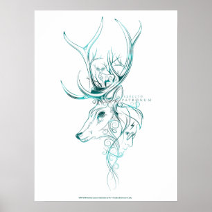Harry Potter   Aguamenti EXPECTO PATRONUM™ Stag Poster