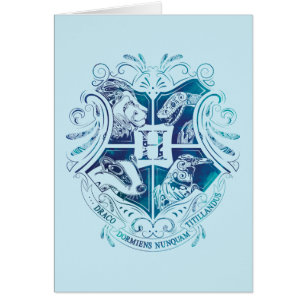 Harry Potter   Aguamenti HOGWARTS™ Crest
