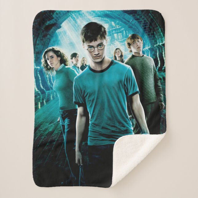 HARRY POTTER AND THE ORDER OF THE PHOENIX™ Blue Sherpa Blanket (Front)