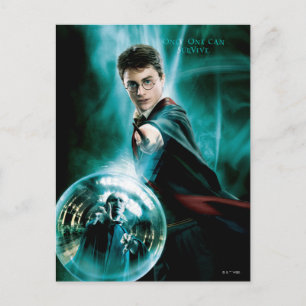 Harry Potter and Voldemort Only One Can Survive Postcard