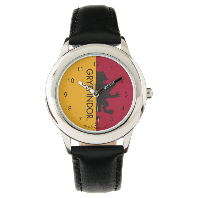 Harry Potter | Gryffindor House Pride Graphic Watch (Front)