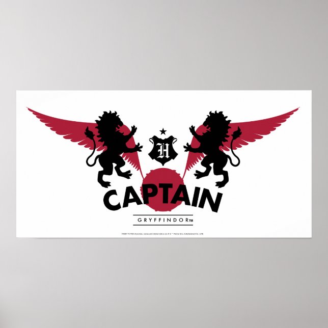Harry Potter | GRYFFINDOR™ House Quidditch Captain Poster (Front)