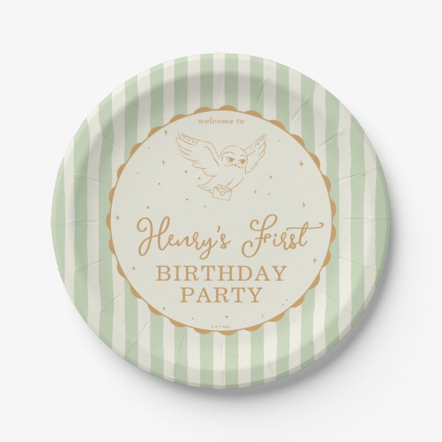 Harry Potter Hedwig Green Magical Birthday Paper Plate (Front)