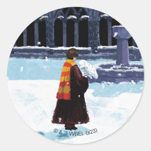 HARRY POTTER™ & Hedwig in HOGWARTS™ Courtyard Classic Round Sticker