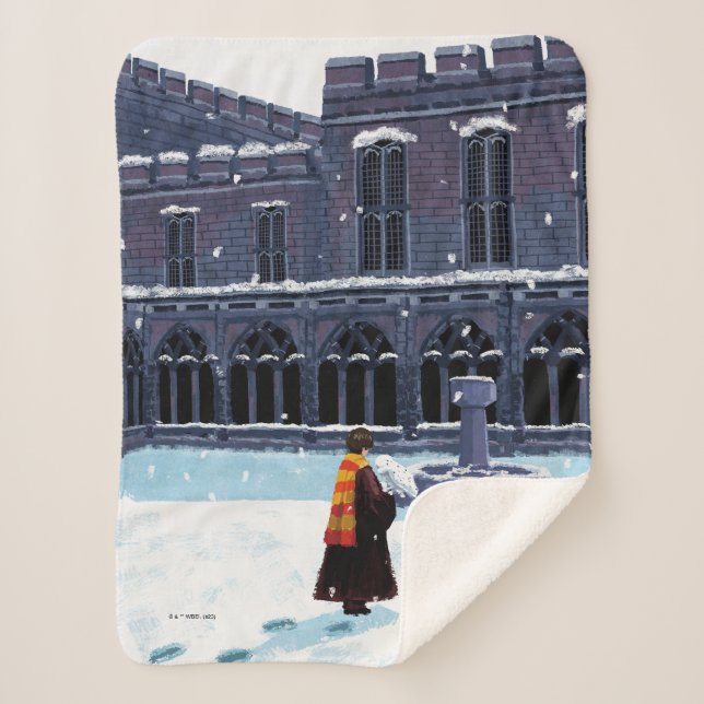 HARRY POTTER™ & Hedwig in HOGWARTS™ Courtyard Sherpa Blanket (Front)