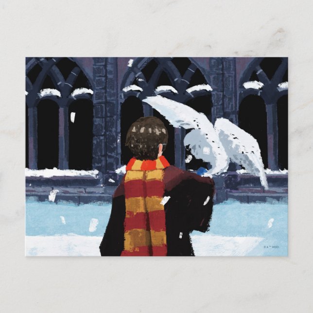 HARRY POTTER™ & Hedwig in the Snow Postcard (Front)