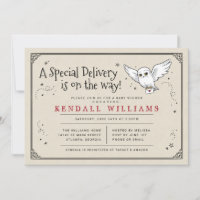 Harry Potter | Hedwig Special Delivery Baby Shower