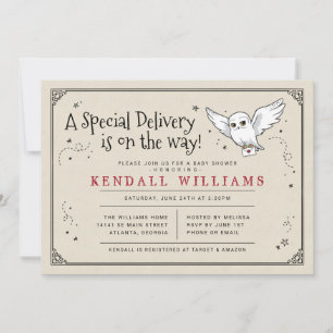 Harry Potter Hedwig Special Delivery Baby Shower
