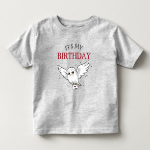 Harry Potter Hedwig Special Delivery Birthday Toddler T-Shirt