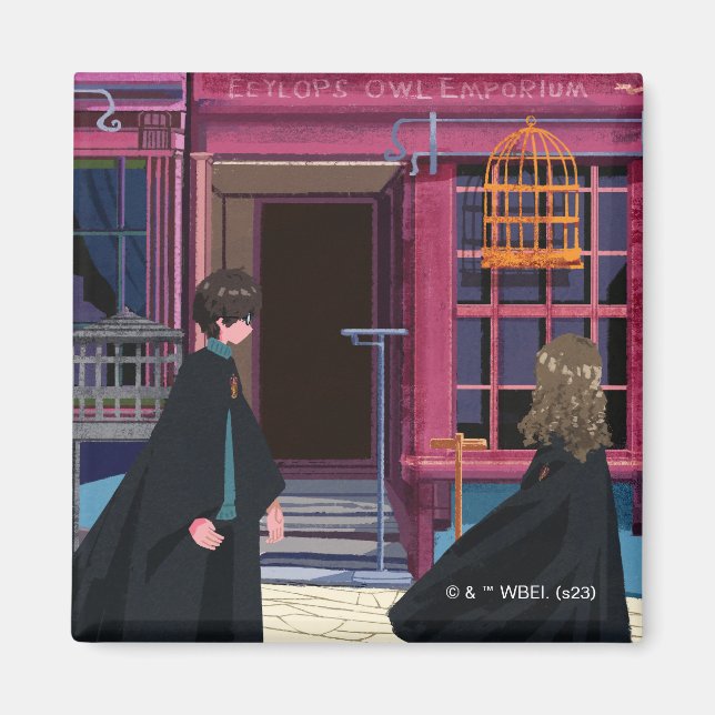 HARRY POTTER™ & Hermione at Eeylops Owl Emporium Magnet (Front)