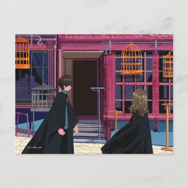 HARRY POTTER™ & Hermione at Eeylops Owl Emporium Postcard (Front)