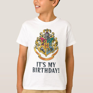Harry Potter | Hogwarts - It's My Birthday T-Shirt