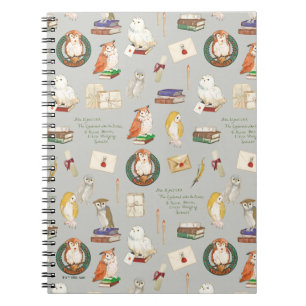 HARRY POTTER™ Owl Letter Pattern Notebook