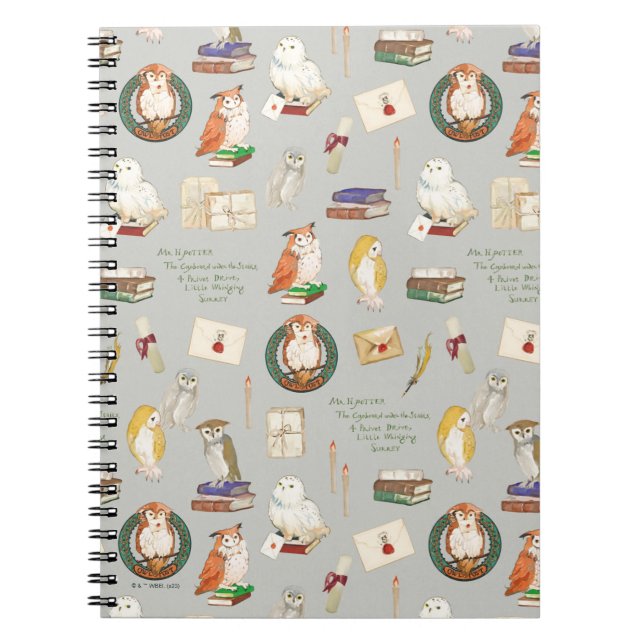 HARRY POTTER™ | Owl Letter Pattern Notebook (Front)