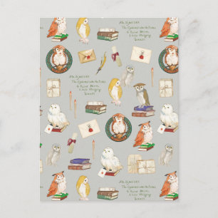 HARRY POTTER™   Owl Letter Pattern Postcard