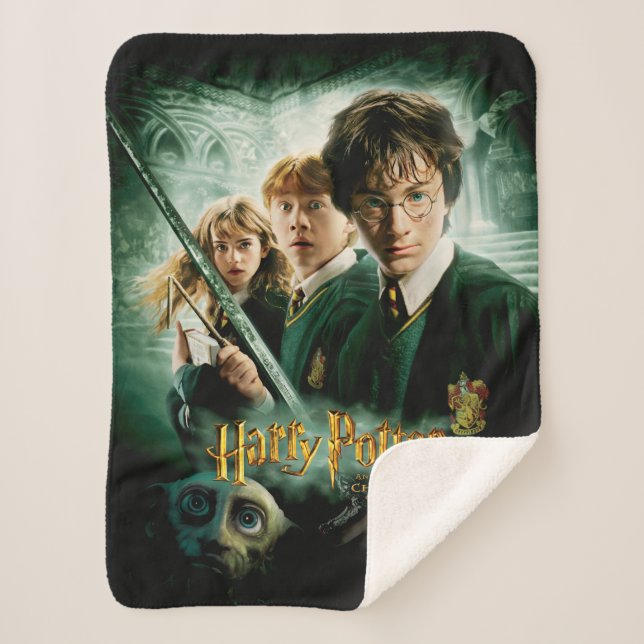 Harry Potter Ron Hermione Dobby Group Shot Sherpa Blanket (Front)