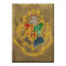 Harry Potter | Rustic Hogwarts Crest
