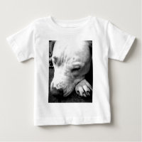 harry potter scar dog white pit bull