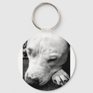 harry potter scar dog white pit bull key ring