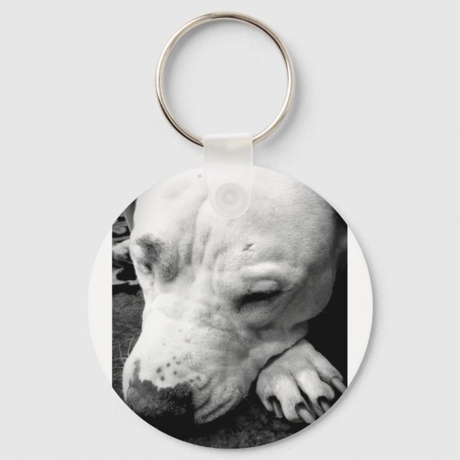 harry potter scar dog white pit bull key ring (Front)