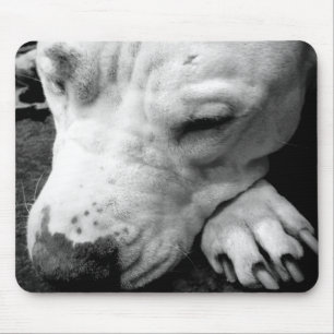harry potter scar dog white pit bull mouse pad