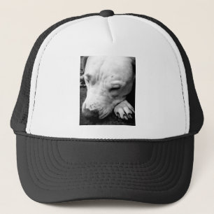 harry potter scar dog white pit bull trucker hat