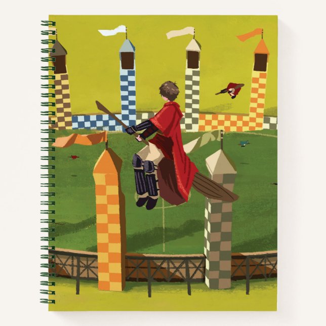 HARRY POTTER™ Seeking the Golden Snitch Notebook (Front)