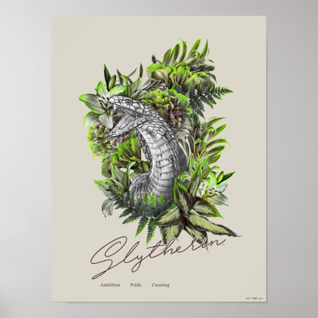 HARRY POTTER™ SLYTHERIN™  Floral Graphic Poster (Front)