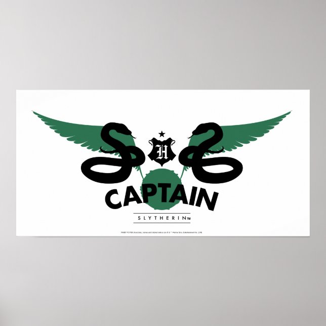 Harry Potter | SLYTHERIN™ House Quidditch Captain Poster (Front)