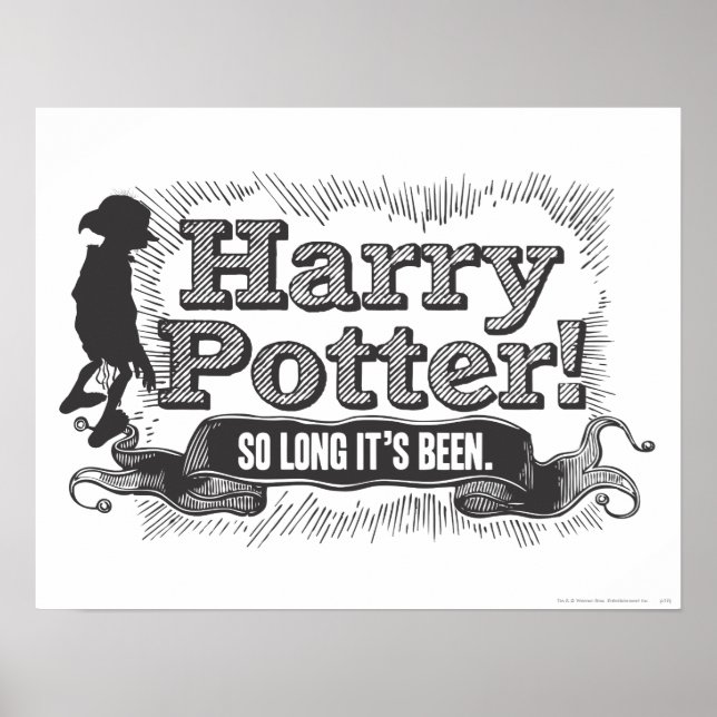 Harry Potter! So Long it's Been Poster (Front)