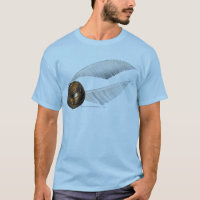 Harry Potter Spell | Golden Snitch