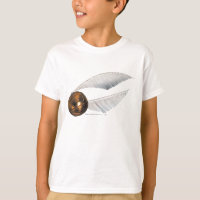 Harry Potter Spell | Golden Snitch