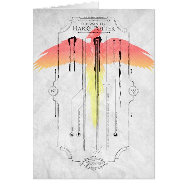 Harry Potter Spell | Harry's Wand Infographic (Front)
