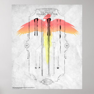 Harry Potter Spell   Harry's Wand Infographic Poster