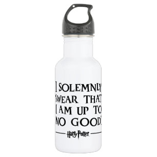 Harry Potter Spell I Solemnly Swear 532 Ml Water Bottle