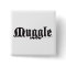 Harry Potter Spell | Muggle