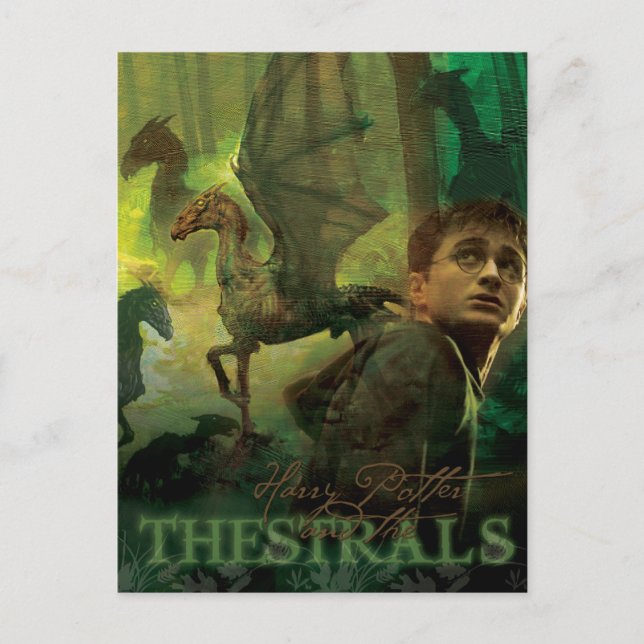 Harry Potter Thestrals Postcard (Front)