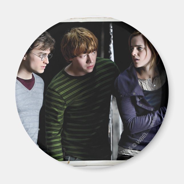 Harry, Ron, and Hermione 4 Magnet (Front)